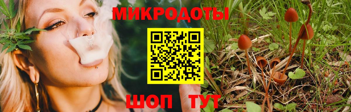 Дмитров  Галлюциногенные грибы Psilocybine cubensis  Вход с VPN 